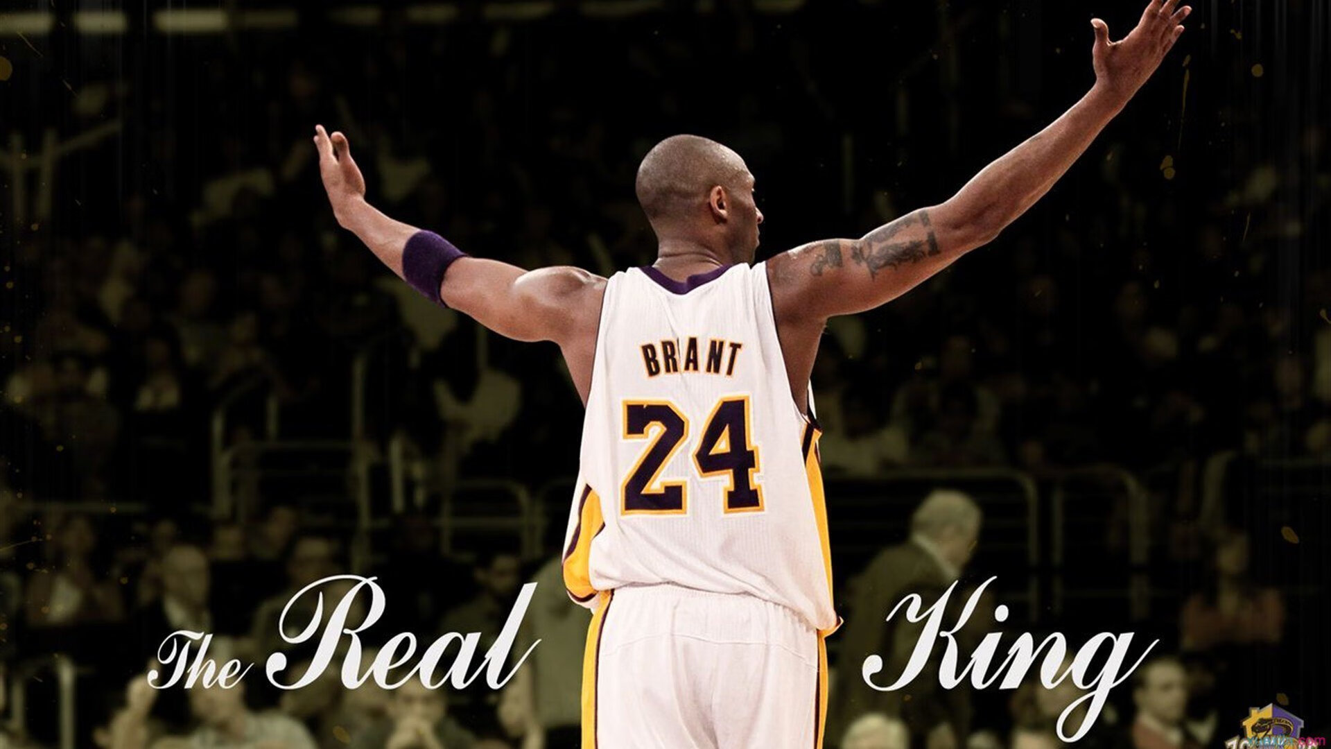 开云真人体育娱乐-_年度最佳单场比赛：精彩回放引爆全场_，单场最高得分